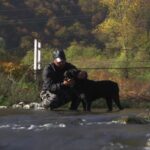 Cane corso sa vlasnikom