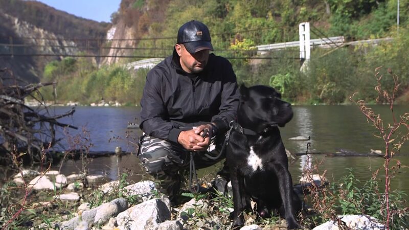 Hugo - Cane Corso